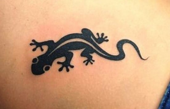 10+ Small Gecko Tattoo Ideas - PetPress